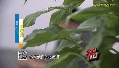 太蹊跷！表演系女大学生来应聘，第二天竟集体消失