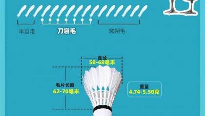 羽毛球凭什么卖到300元？1只鹅造不出1个球