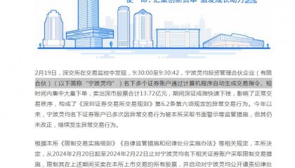 开盘一分钟就疯狂卖出25.67亿元,量化交易天王灵均投资砸盘A股?沪深交易所出手了,限制交易并启动公开谴责
