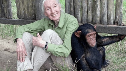 91岁传奇女科学家去世：没学士学位的剑桥博士，科学发现颠覆人类认知，每年300天全球演讲