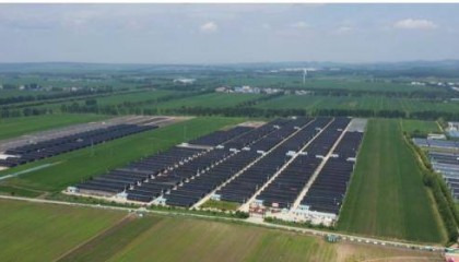 黑龙江桦南县:一千万袋玉耳进入采收期