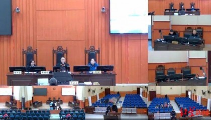 误以为有野生动物破坏玉米地，男子开枪意外击中在地里除草的母亲，法院判了