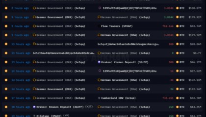 抛售最后3846枚BTC后德政宣布不再允许比特币进入加密货币市场!