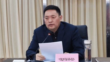 西藏自治区政府党组书记调整