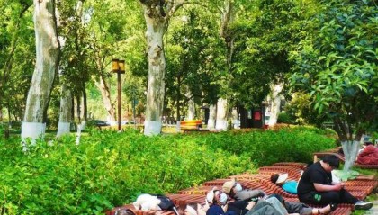 武汉一景区躺椅走红，网友：躺到不想走了，希望能推广