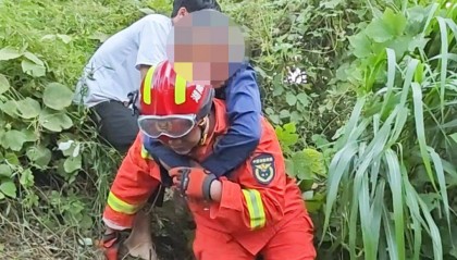 郴州800斤疯牛跑出后顶着屠宰工人一路上山又撞下山，已被击毙