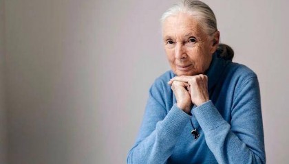 “课本上的传奇”，走了