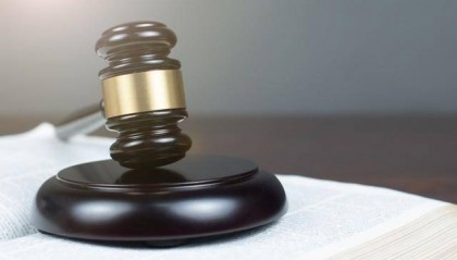 女子被未牵绳泰迪犬扑身受惊吓未获道歉，踢狗引纠纷致狗主人受伤，被判赔偿1200元