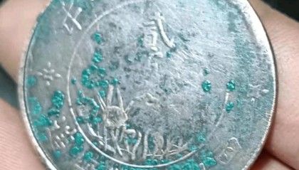 双旗币贰佰文,是张先生多年前从亲戚家购买的,如今价值翻倍