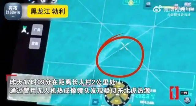 无人机找到疑似咬人老虎热源，专家：老虎或来自俄罗斯