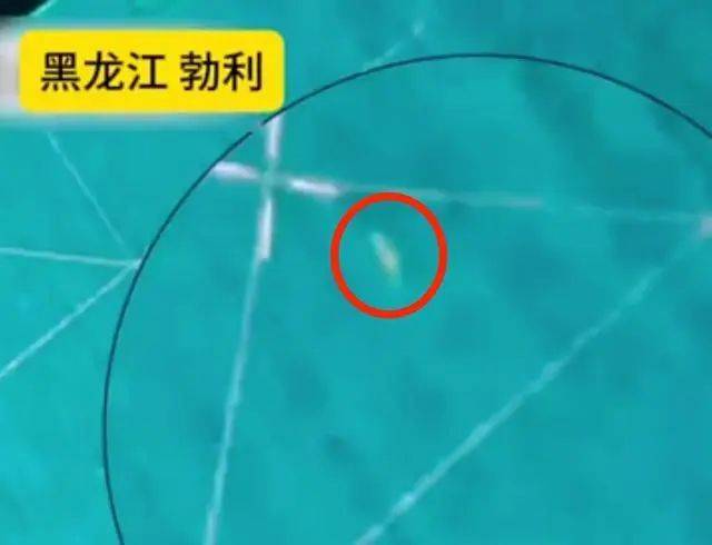 无人机找到疑似咬人老虎热源，专家：老虎或来自俄罗斯