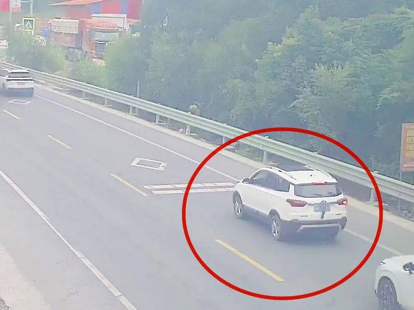 司机将两只老鼠挂后窗雨刮器上:“回家给猫吃”,交警:遮挡车牌扣9分