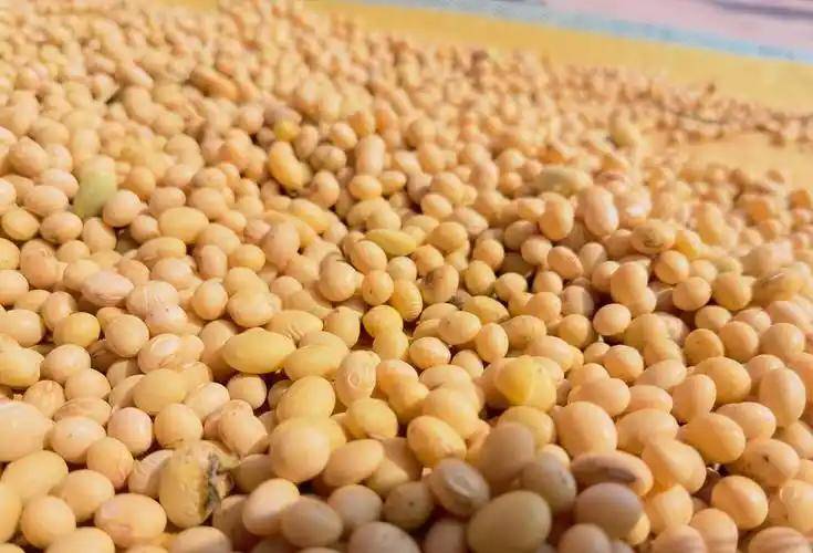 釜山会谈结束,中美没发联合声明,特朗普火速回国,绝口不提一事