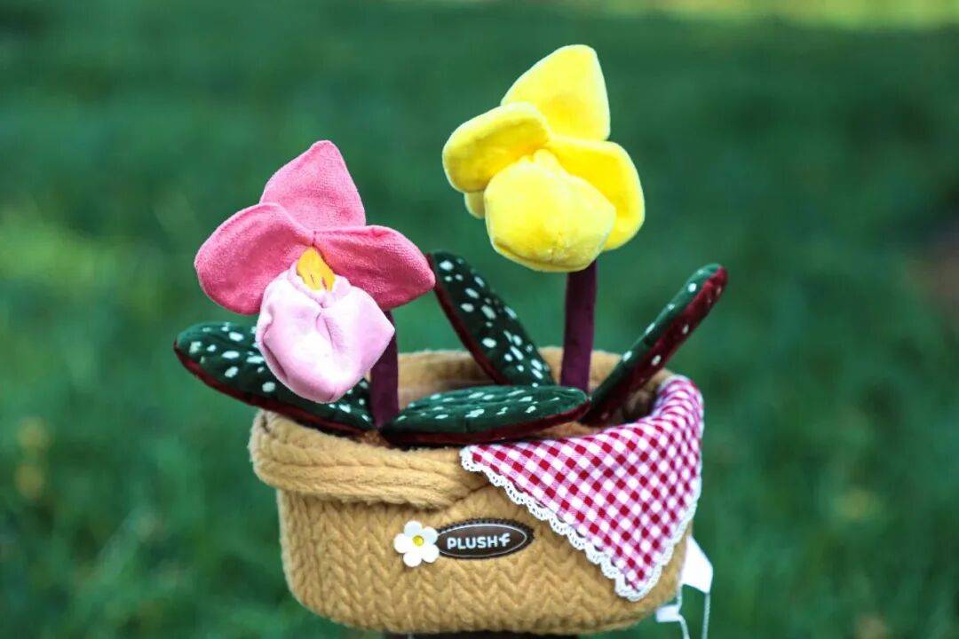 绝美!北京秋季颜值已达巅峰!这样定格最美秋天!