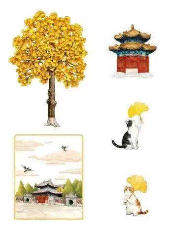 绝美!北京秋季颜值已达巅峰!这样定格最美秋天!