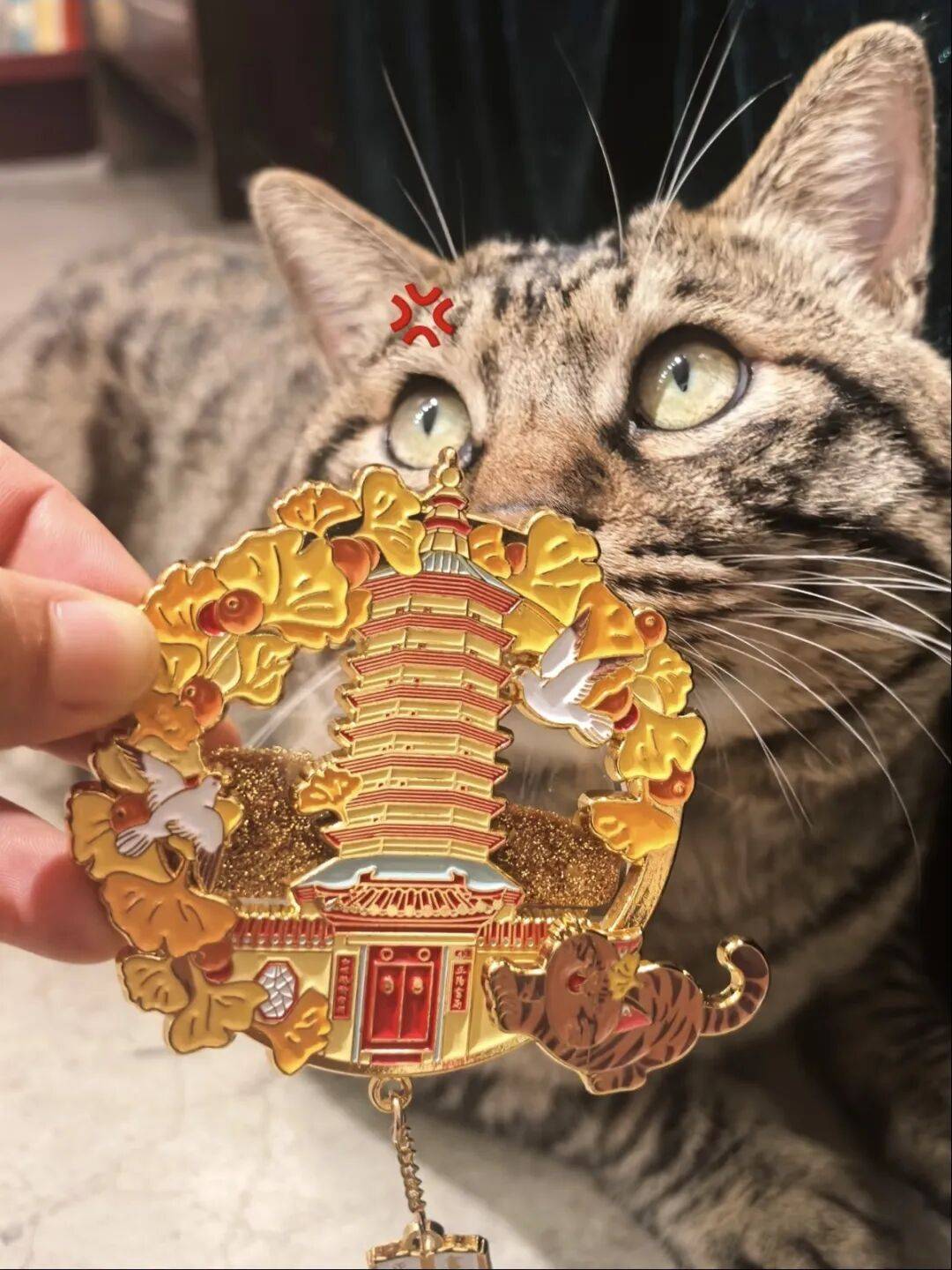 绝美!北京秋季颜值已达巅峰!这样定格最美秋天!